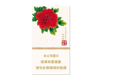 单县进口香烟有哪些